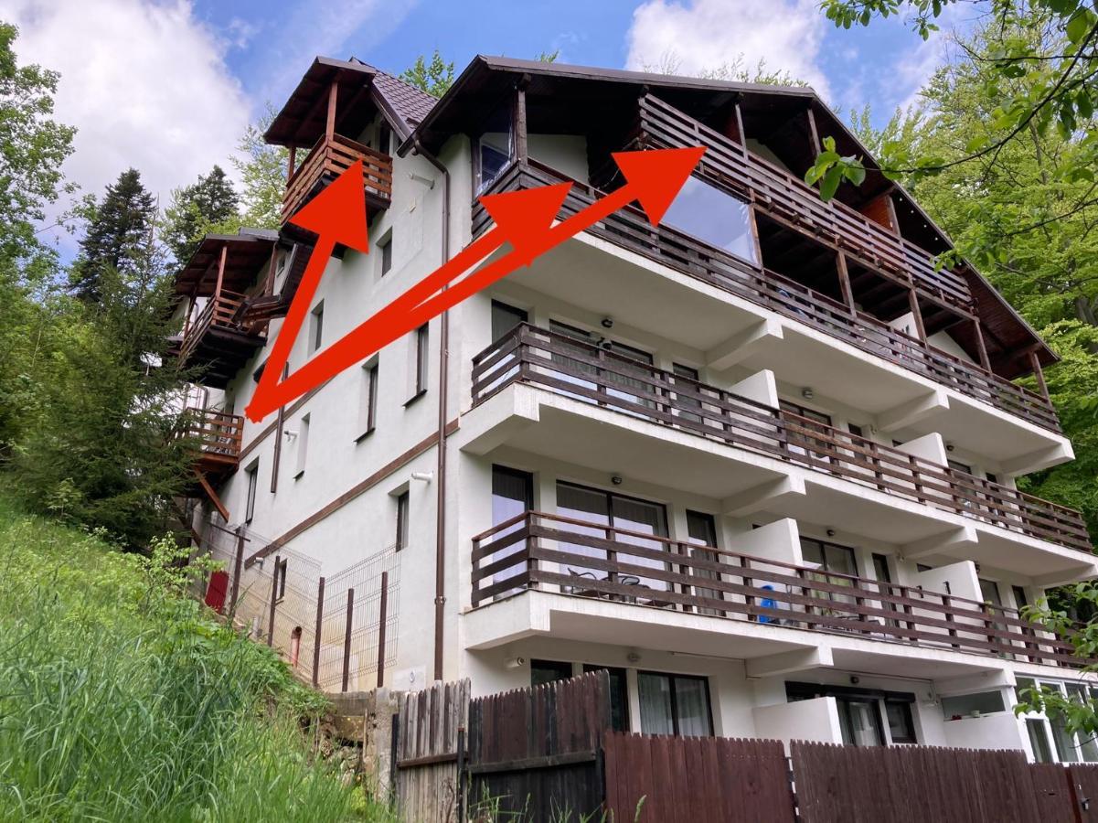 Apartamento Lucas Duplex Azuga Exterior foto